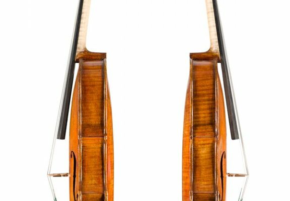 viola1 (2)
