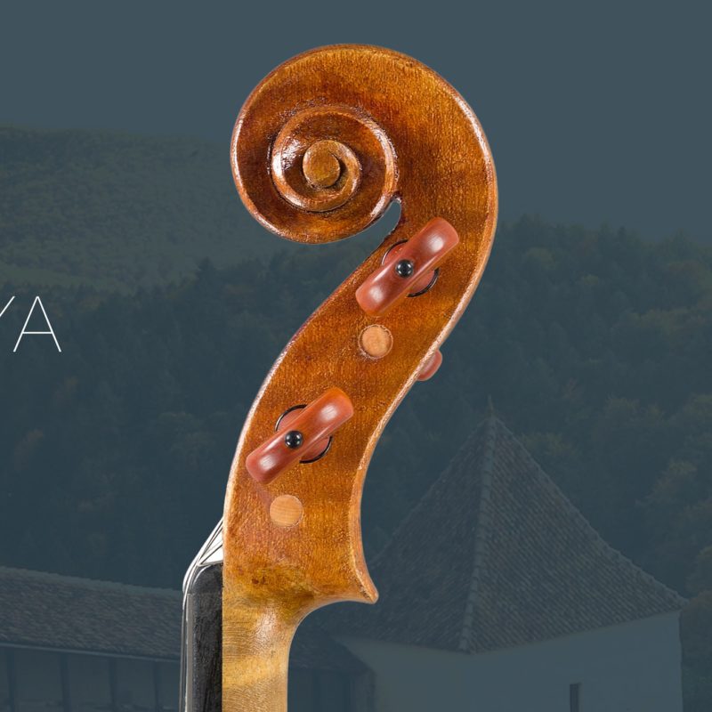 Matuya-ricciolo-min