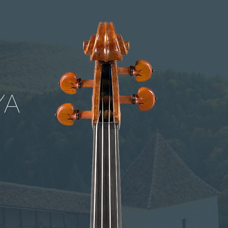 Matuya-testa-min