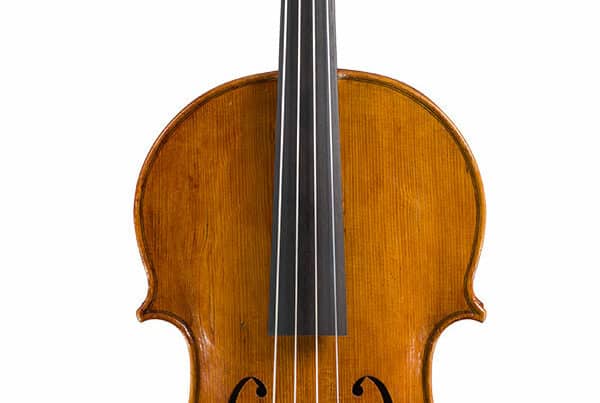 Viola 2025, front view