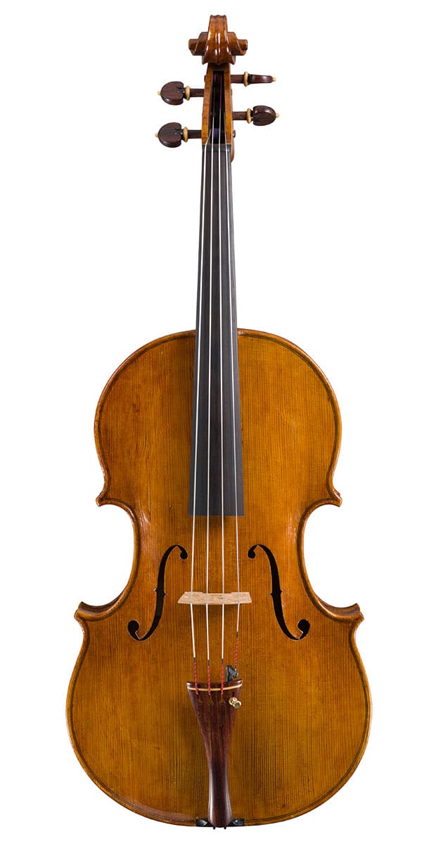 Viola 2025, front view