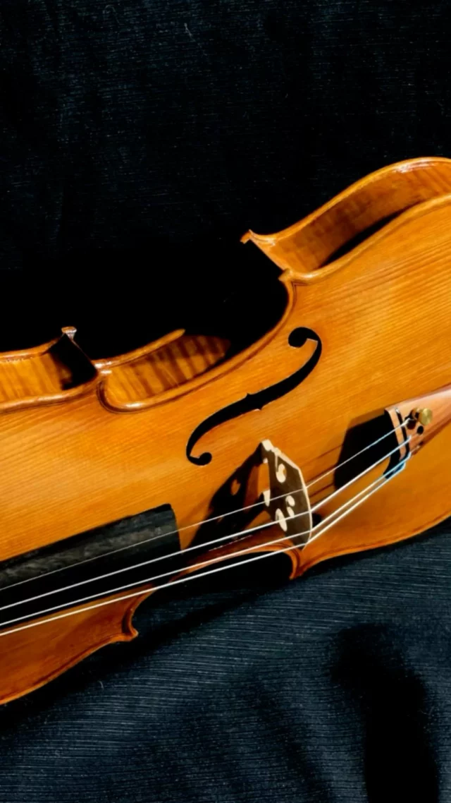 The birth of a customized violin  #violinmaker #violinmaking #luthier #artisan #art # violin #fineinstruments #cremona #italianexcellence #soundquality