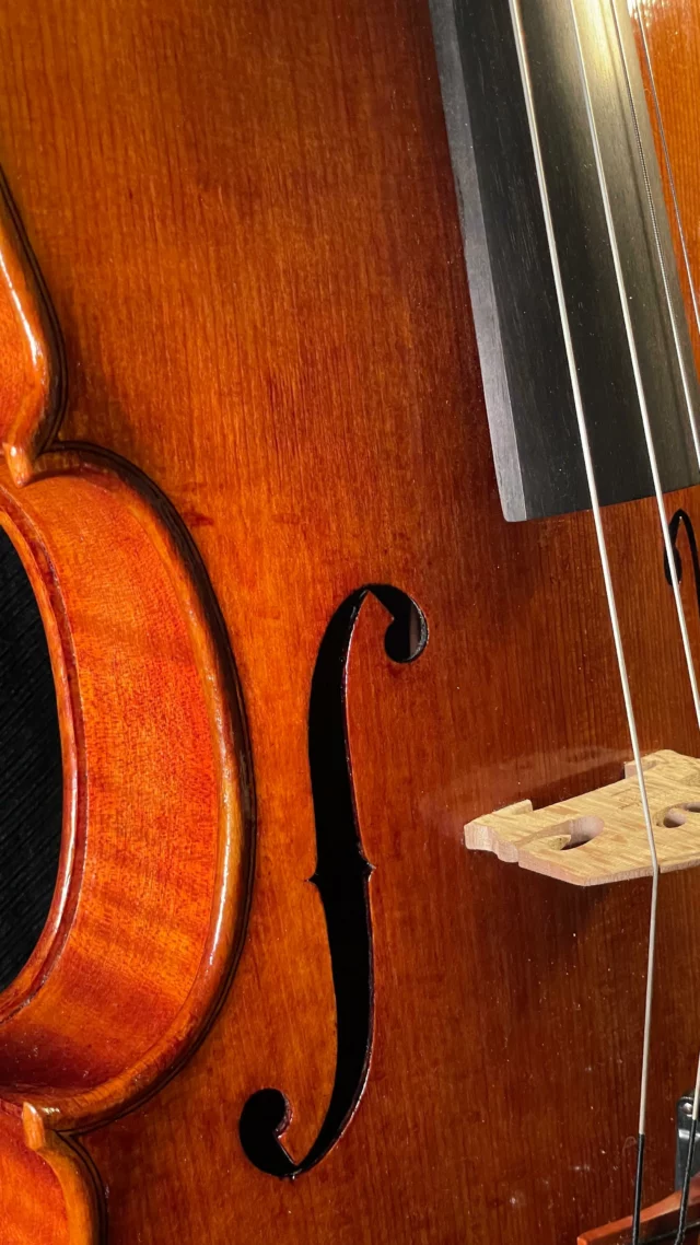 Christoph Hammer ( Vienna Philharmonic Orchestra) plays Stamitz on my newest Viola made in Cremona in 2024. #violinmaking #violinmaker #luthier #artisan #art #fineinsteuments #viola #cremona #italianexcellence #viennaphilharmonic #soundquality