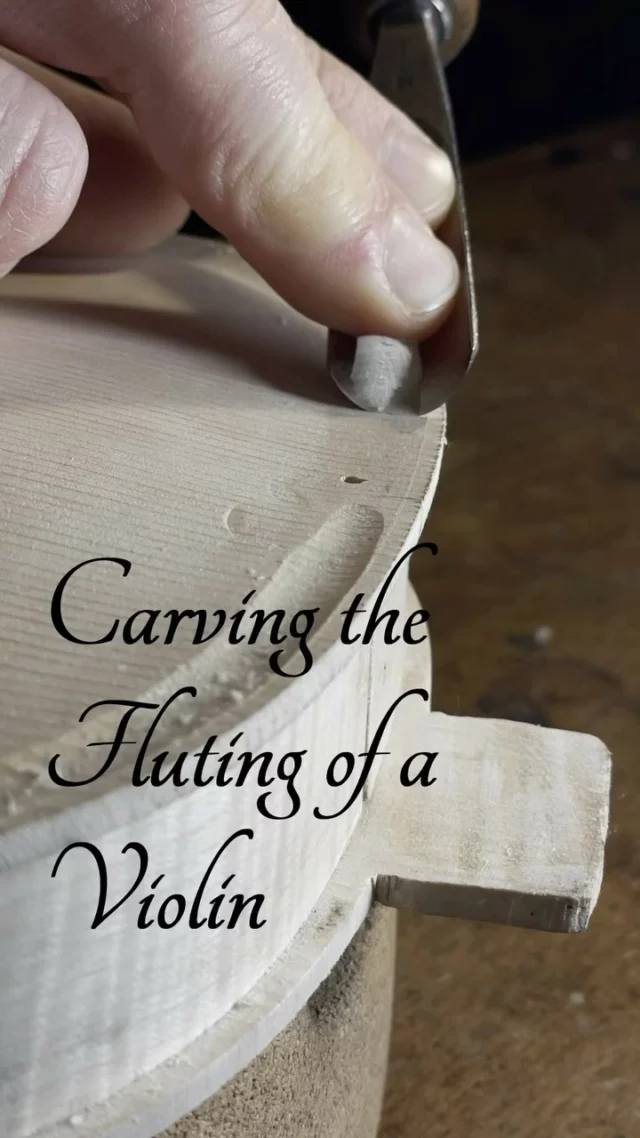 Some insights in how I carve the fluting of a violin. #violinmaker #violinmaking #luthier #artisan #violin #fineinstruments #cremona #italianexcellence